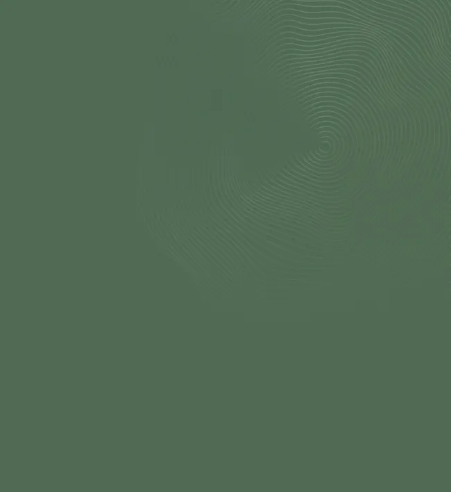 Licensed states section background - Dr. Beatriz Mann Therapy