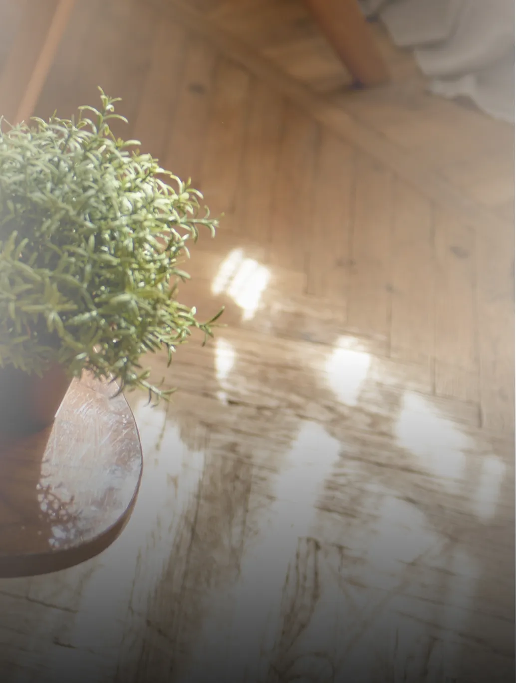 Begin Therapy image - Dr. Beatriz Mann Therapy