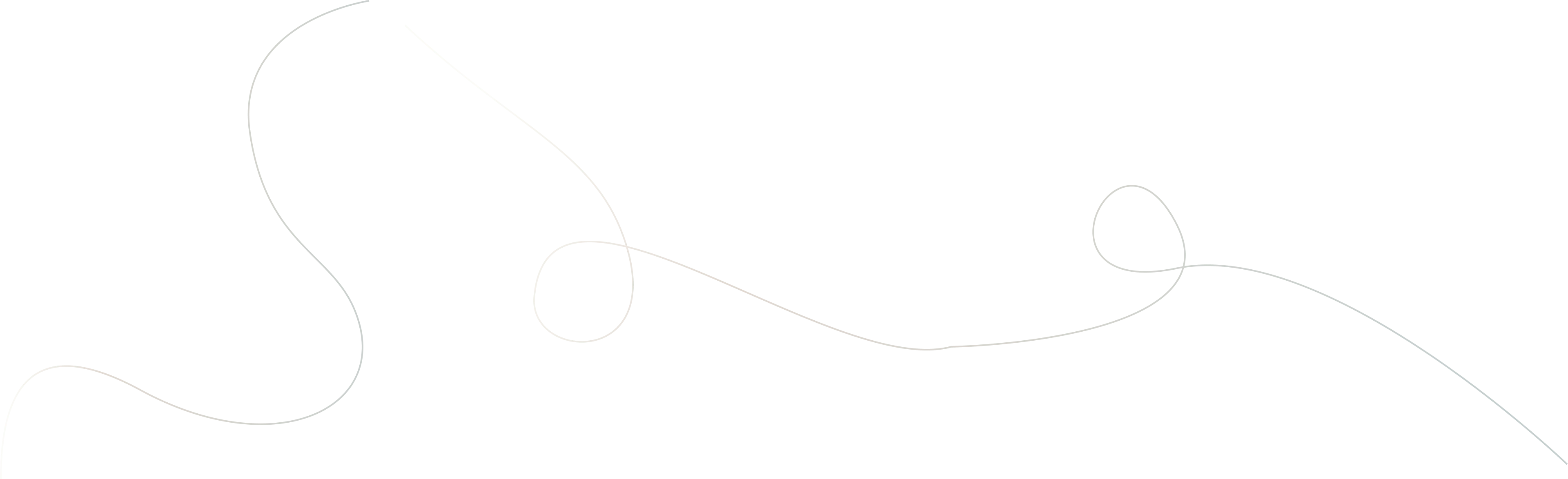 Decorative line graphic - Dr. Beatriz Mann Therapy